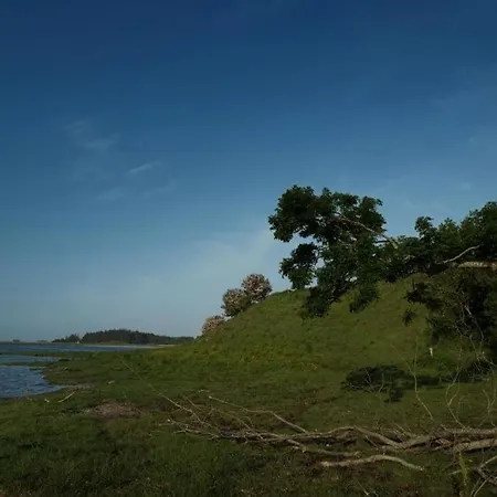 Fadeburet På Skibstedgaard