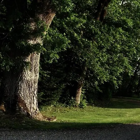 Fadeburet På Skibstedgaard * Tvolm