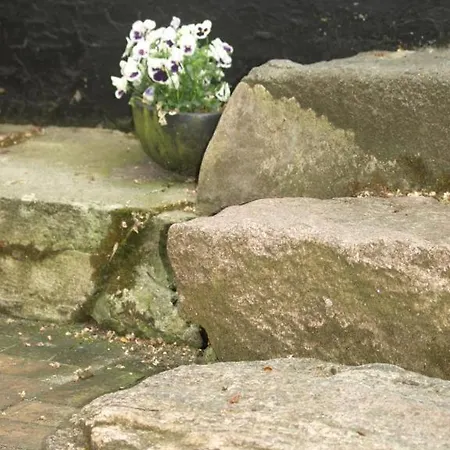 Fadeburet På Skibstedgaard Lejlighed *